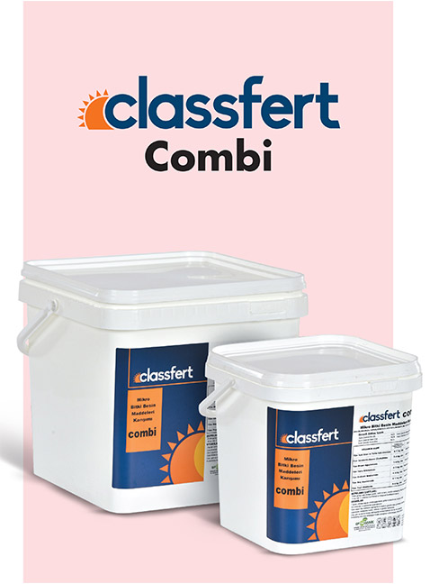 CLASSFERT COMBI