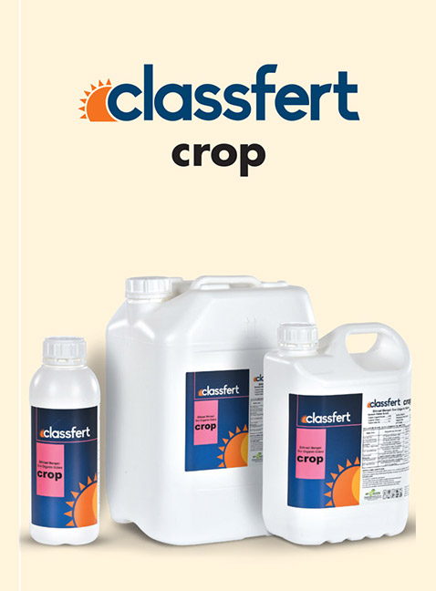 CLASSFERT CROP