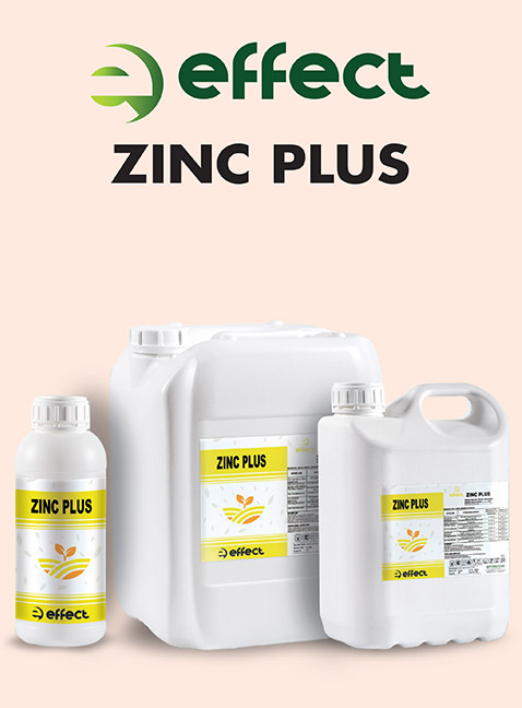 EFFECT ZINC PLUS