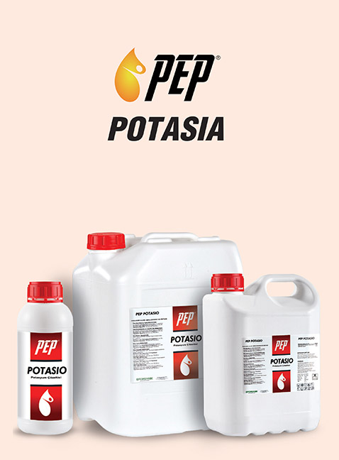 PEP POTASIA