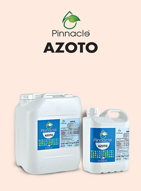 PINNACLE AZOTO